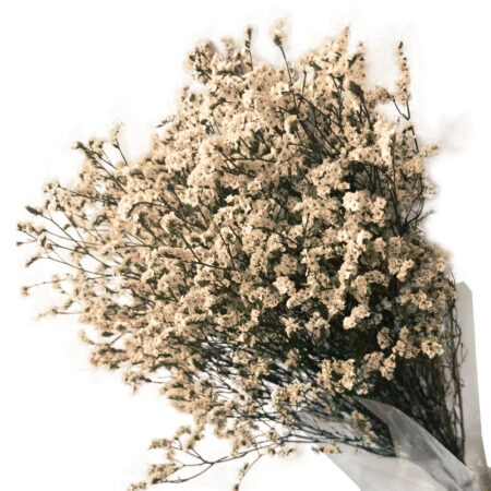 ΑΠΟΞΗΡΑΜΕΝΟ ΜΠΕΖ ΜΠΟΥΚΕΤΟ ΛΕΙΜΩΝΙΟ 120gr - Υ80-90cm 30/ΚΙΒ - Κασπω
