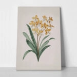 Πίνακας σε Καμβά ANTIQUE VINTAGE FLOWERS