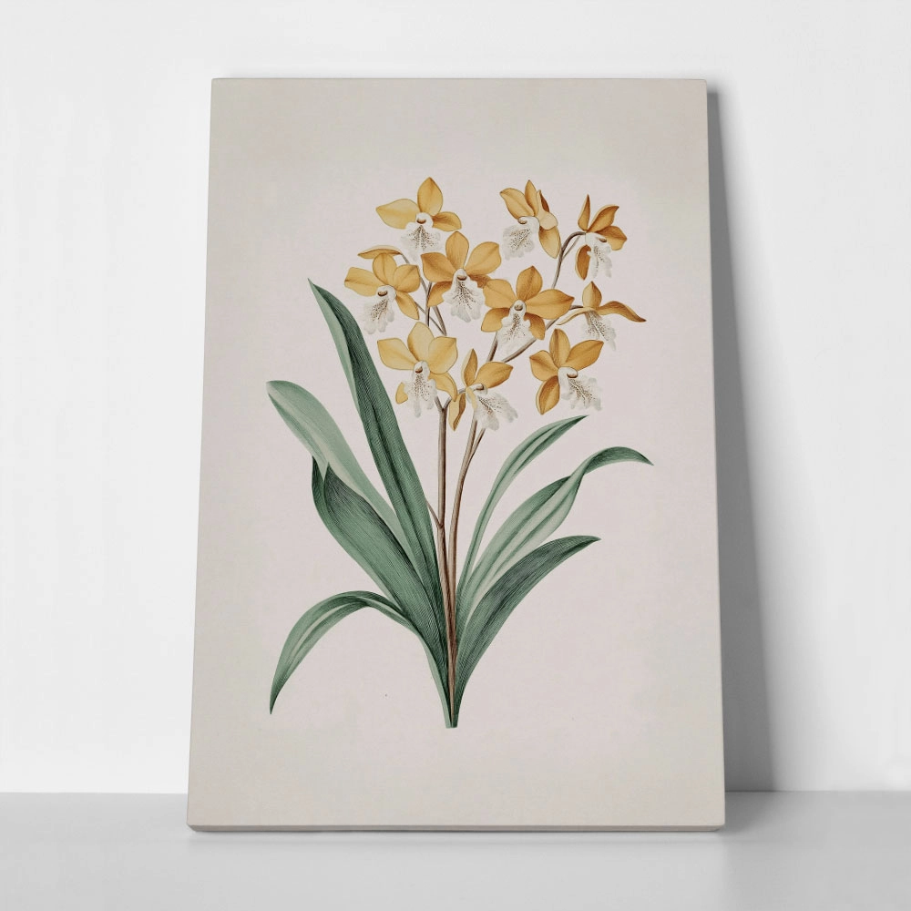 Πίνακας σε Καμβά ANTIQUE VINTAGE FLOWERS