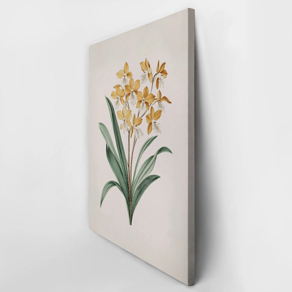 Πίνακας σε Καμβά ANTIQUE VINTAGE FLOWERS