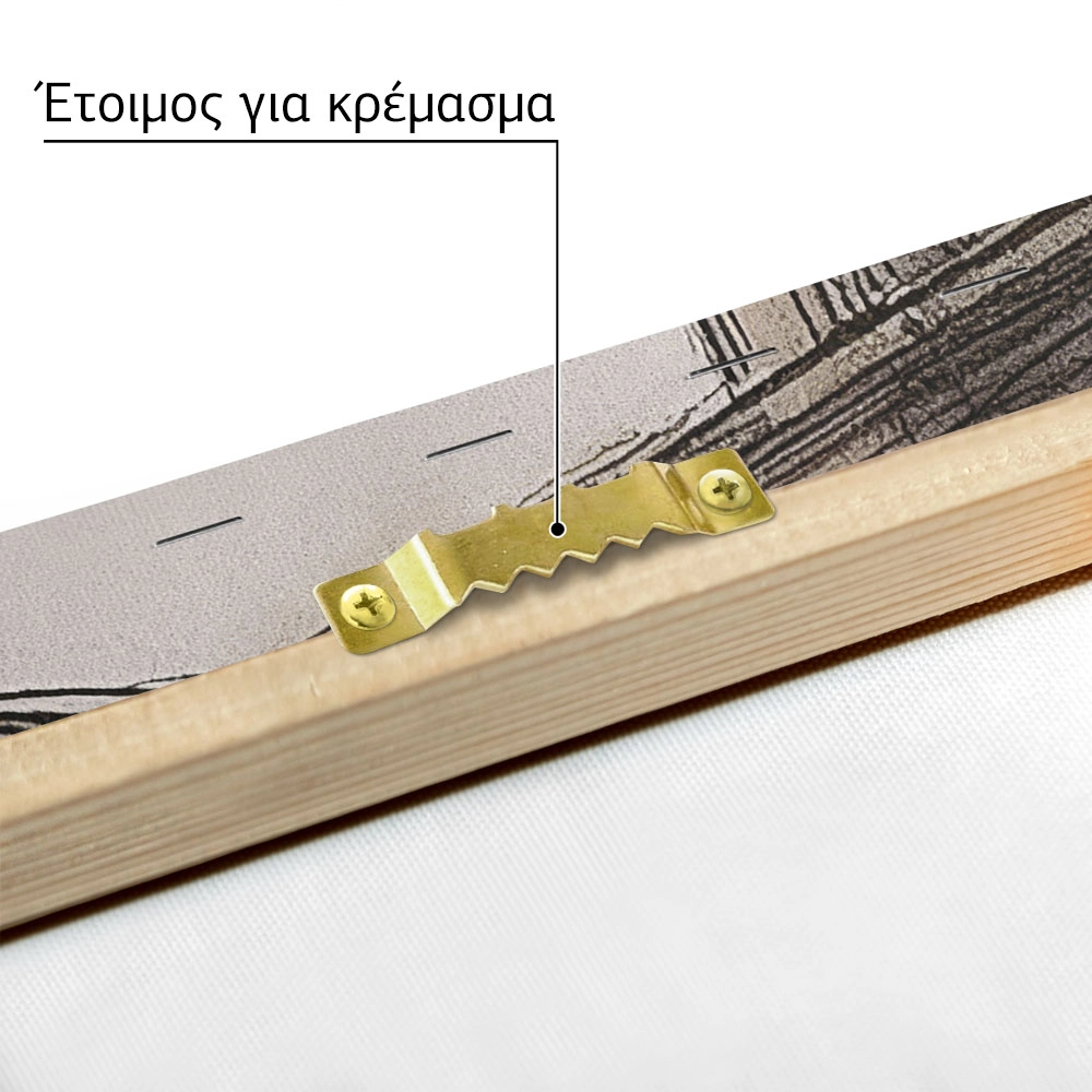 Πίνακας σε Καμβά ANTIQUE VINTAGE HOUSE