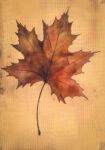 Πίνακας σε Καμβά VINTAGE AUTUMN LEAF 3