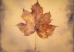 Canvas Print VINTAGE AUTUMN LEAF