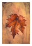 Poster VINTAGE AUTUMN LEAF 2