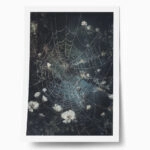 Poster VINTAGE AUTUMN SPIDER WEB 4