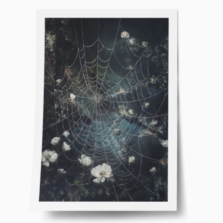 Poster VINTAGE AUTUMN SPIDER WEB 4 - 
