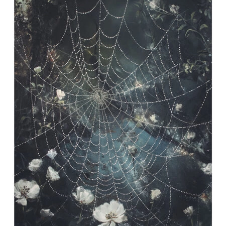 Poster VINTAGE AUTUMN SPIDER WEB 4 -  Sticky 2