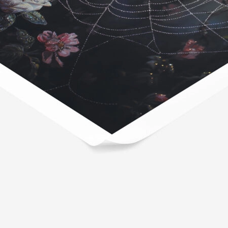 Poster VINTAGE AUTUMN SPIDER WEB 5 -  Sticky 1