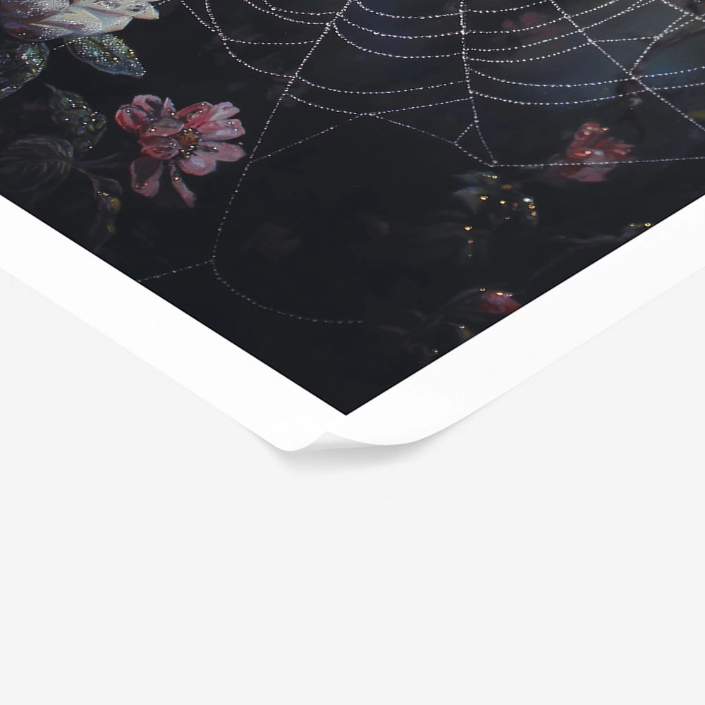Poster VINTAGE AUTUMN SPIDER WEB 5