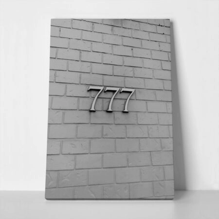 FASHION 777 Canvas Print