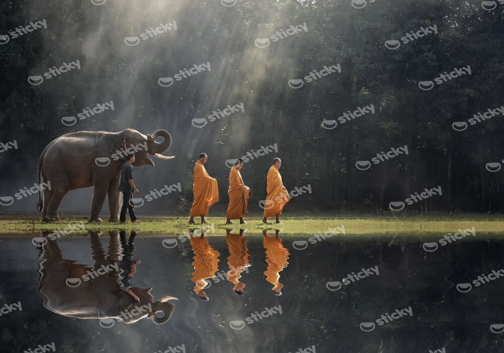 Πινακας σε καμβά BUDDHISTS AND ELEPHANT