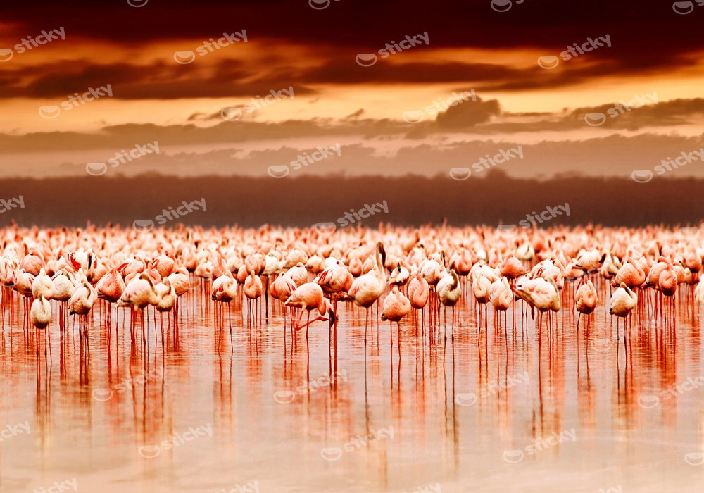 Πινακας σε καμβά FLAMINGOS IN THE SUNSET