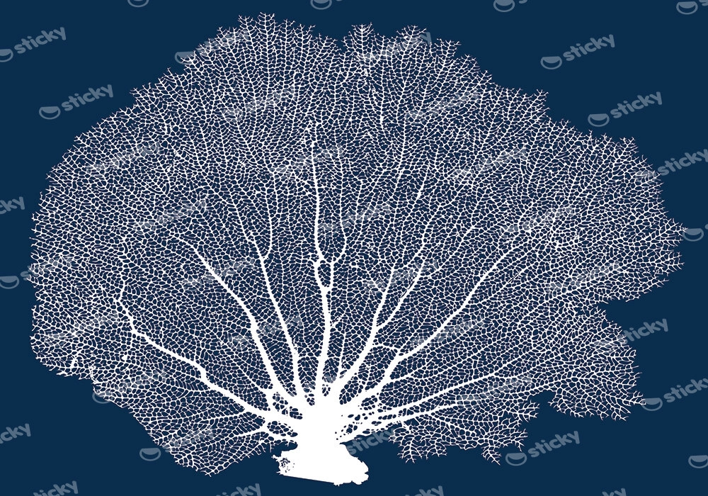 Πινακας σε καμβά SEA FAN