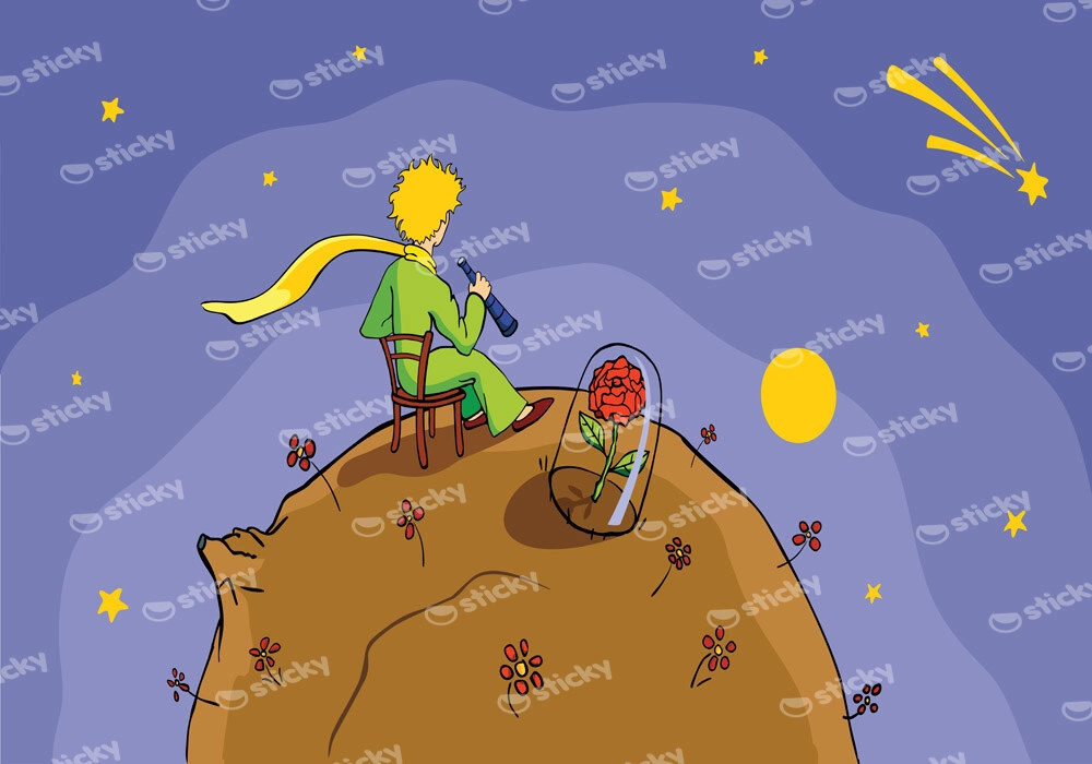 Πινακας σε καμβά LITTLE PRINCE LOOKING STARS