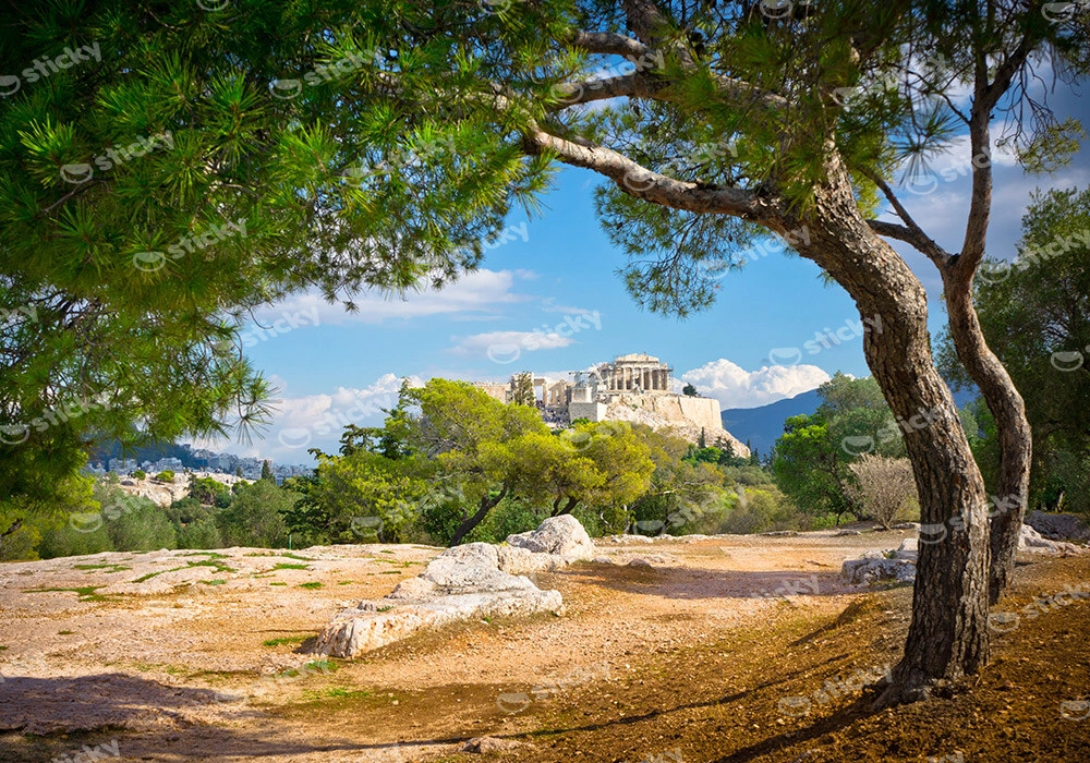 Πινακας σε καμβά ACROPOLIS HILL
