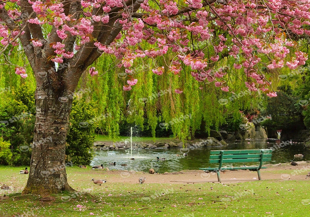 Πινακας σε καμβά BENCH POND