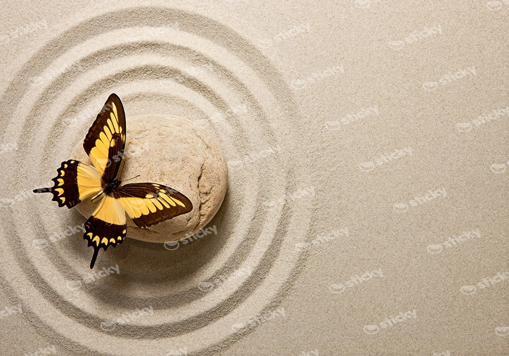 Πινακας σε καμβά BUTTERFLY ZEN