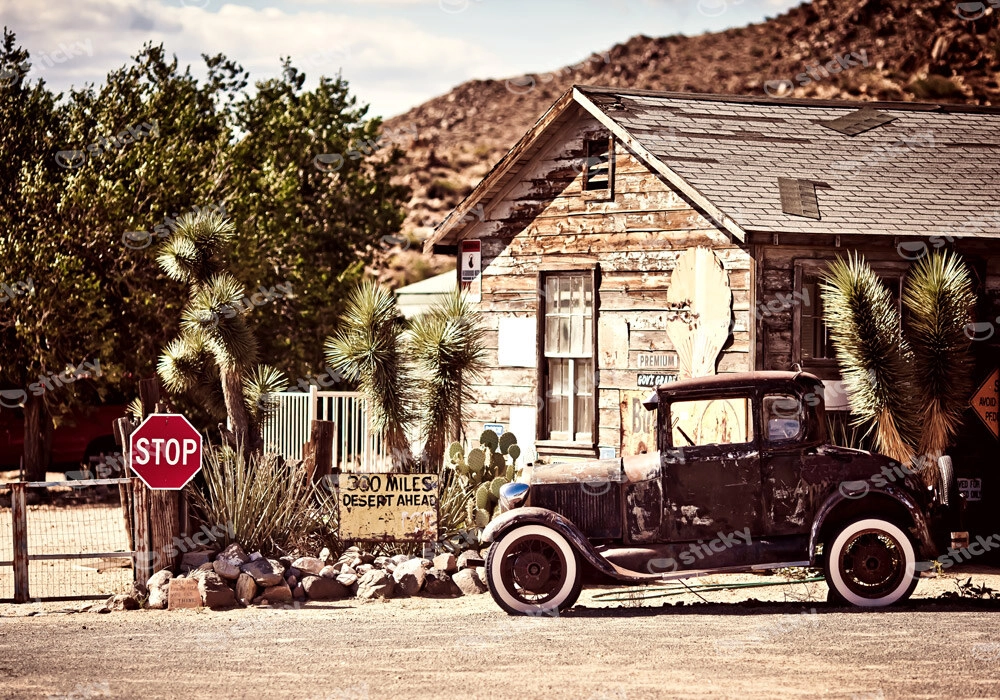 Πινακας σε καμβά DESERT OLD CAR