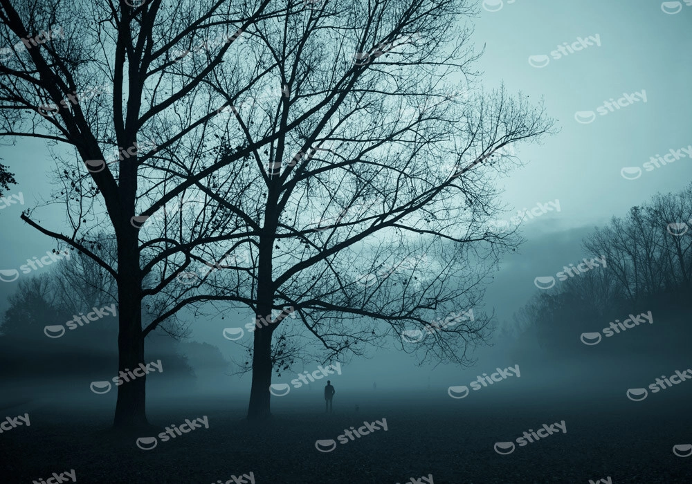 Πινακας σε καμβά FOG TREE