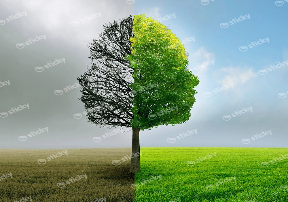 Πινακας σε καμβά HUMAN TREE