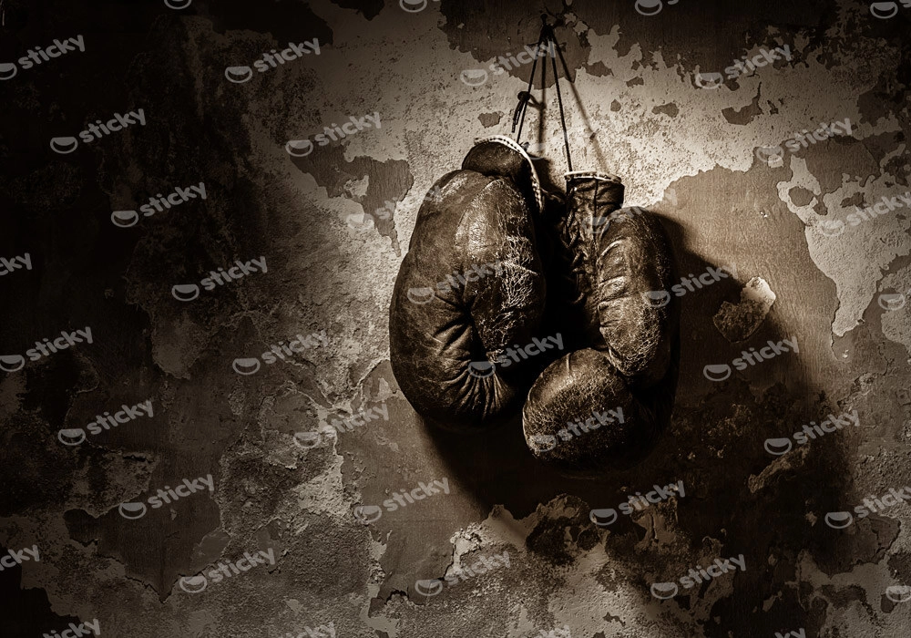 Πινακας σε καμβά OLD GLOVES