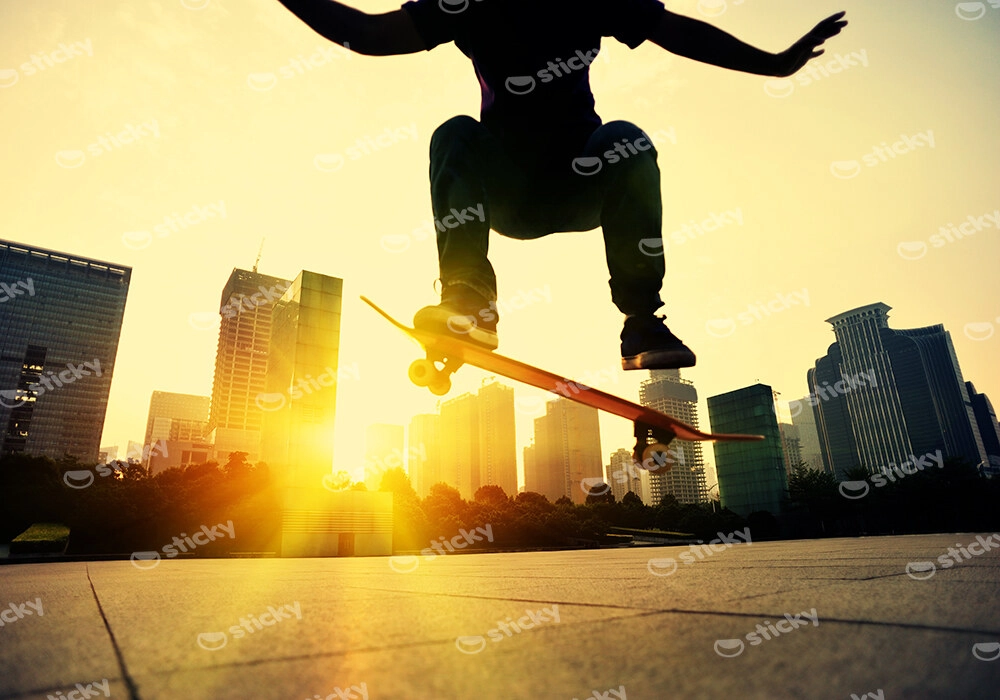 Πινακας σε καμβά SKATEBOARD