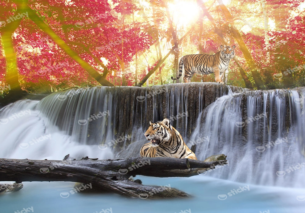 Πινακας σε καμβά TIGERS JUNGLE