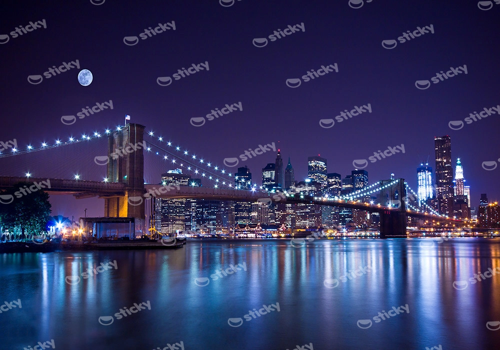 Πινακας σε καμβά BROOKLYN BRIDGE 2