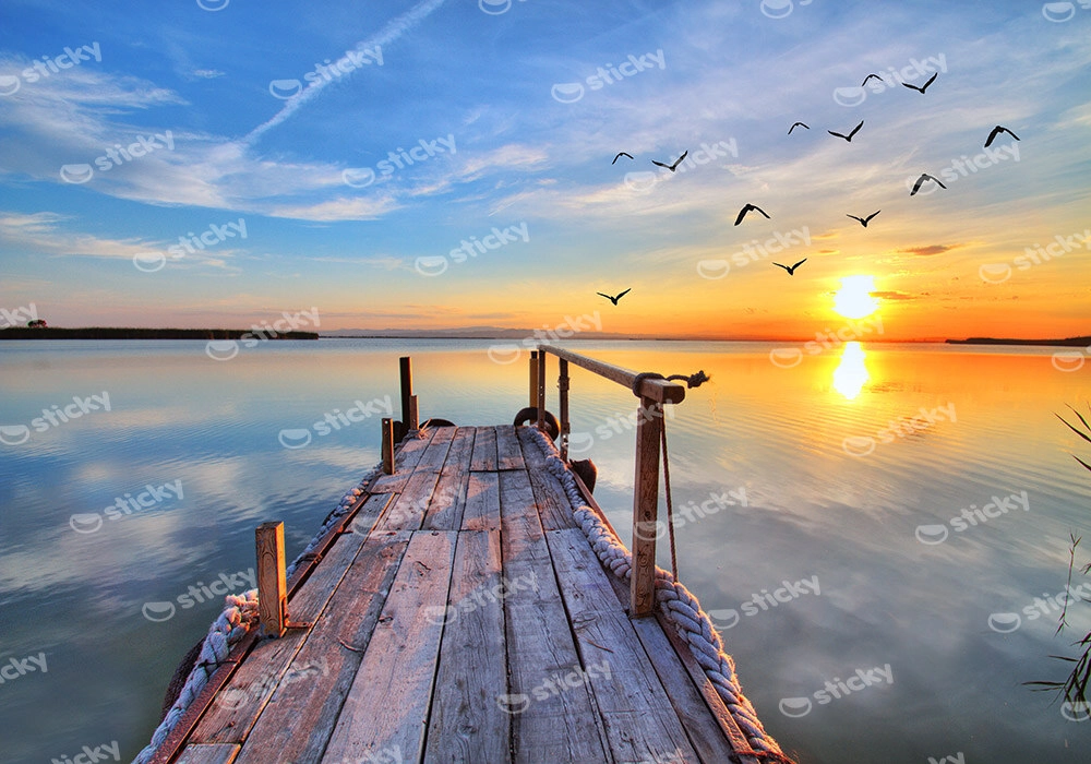 Πινακας σε καμβά FLYING BY LAKE SUNSET