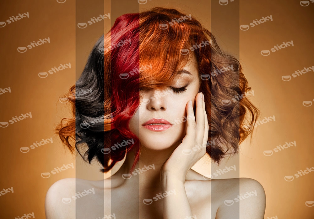 Πινακας σε καμβά HAIR COLOURS