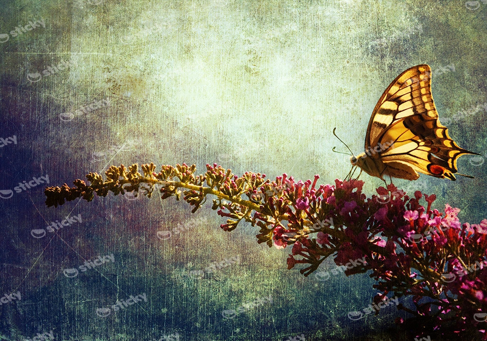 Πινακας σε καμβά BUTTERFLY LILAC