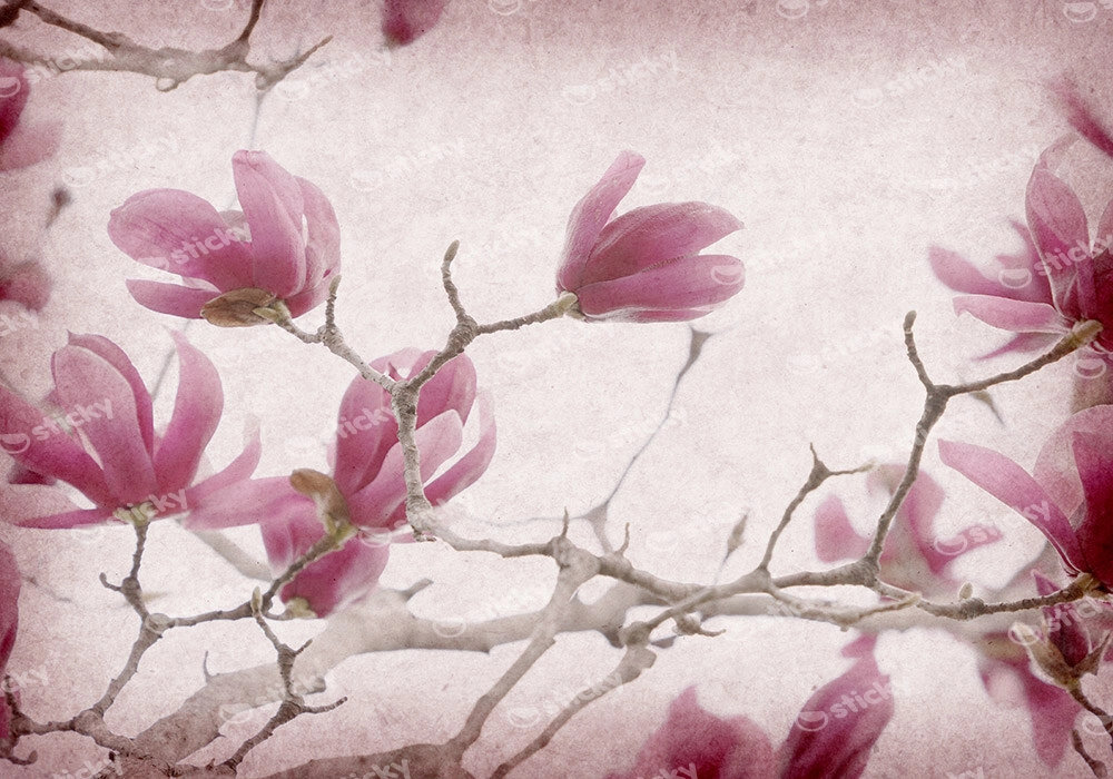 Πινακας σε καμβά MAGNOLIA FLOWERS ON OLD PAPER BACKGROUND