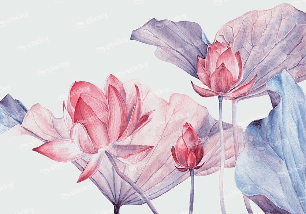 Πινακας σε καμβά WATERCOLOR BOTANICAL ILLUSTRATION LOTUS FLOWER
