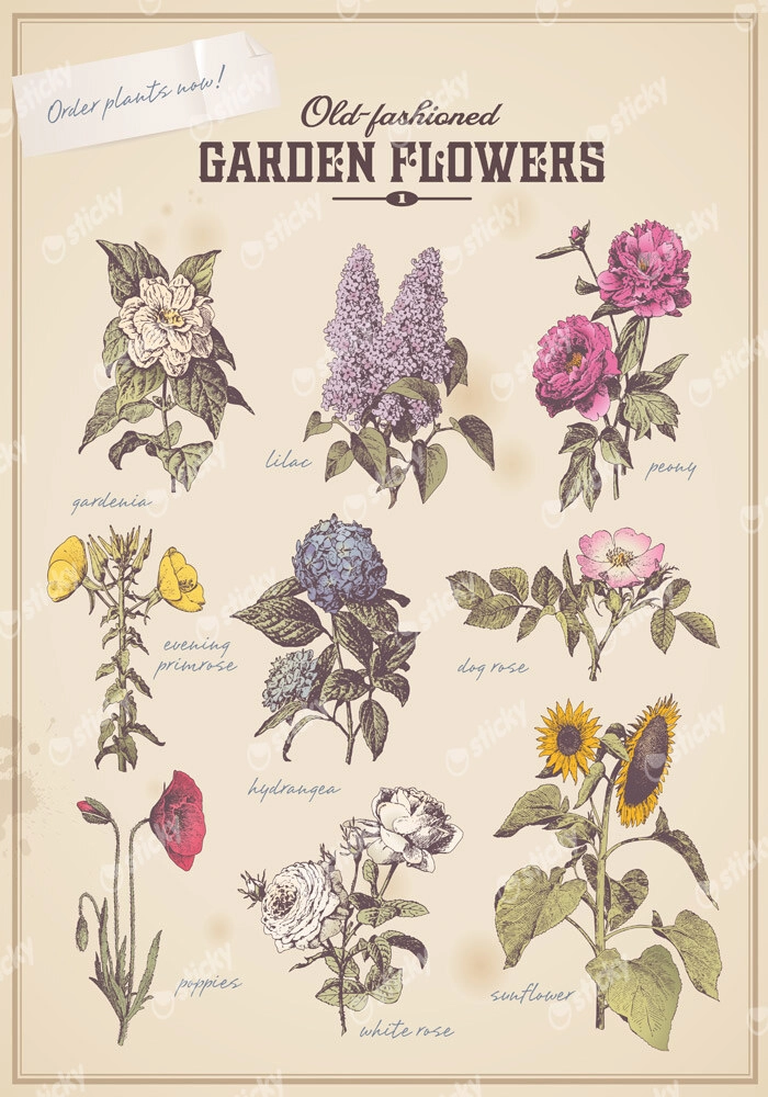 Πινακας σε καμβά OLD FASHIONED FLOWERS