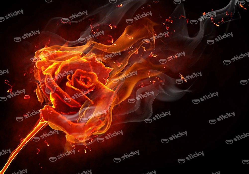 Πινακας σε καμβά BURNING ROSE