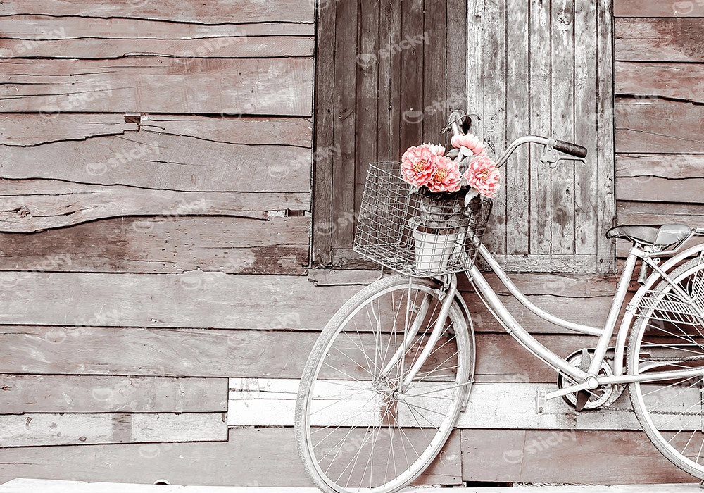 Πινακας σε καμβά VINTAGE BICYCLE 2