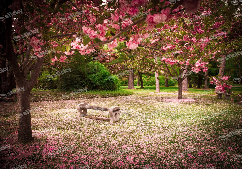 Πινακας σε καμβά TRANQUIL PARK 1