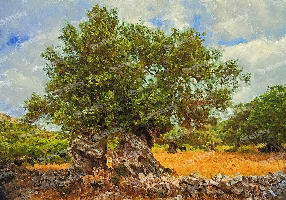 Πινακας σε καμβά OLIVE DRAWING 1