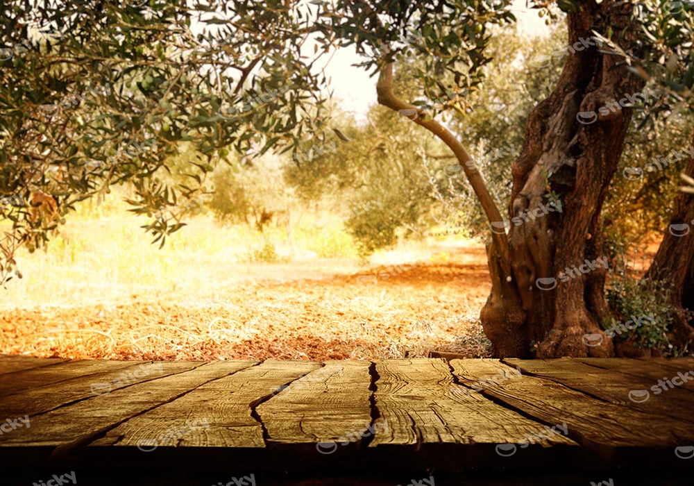Πινακας σε καμβά WOODEN TABLE WITH OLIVE TREE