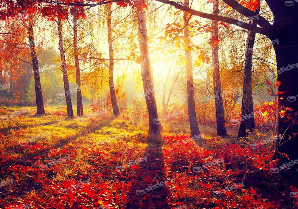 Πινακας σε καμβά BEAUTIFUL AUTUMN PARK 2