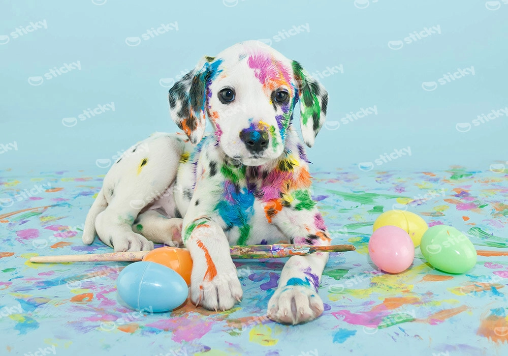 Πινακας σε καμβά FUNNY LITTLE DALMATIAN PUPPY