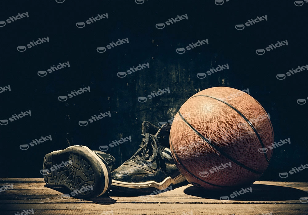 Πινακας σε καμβά BASKETBALL