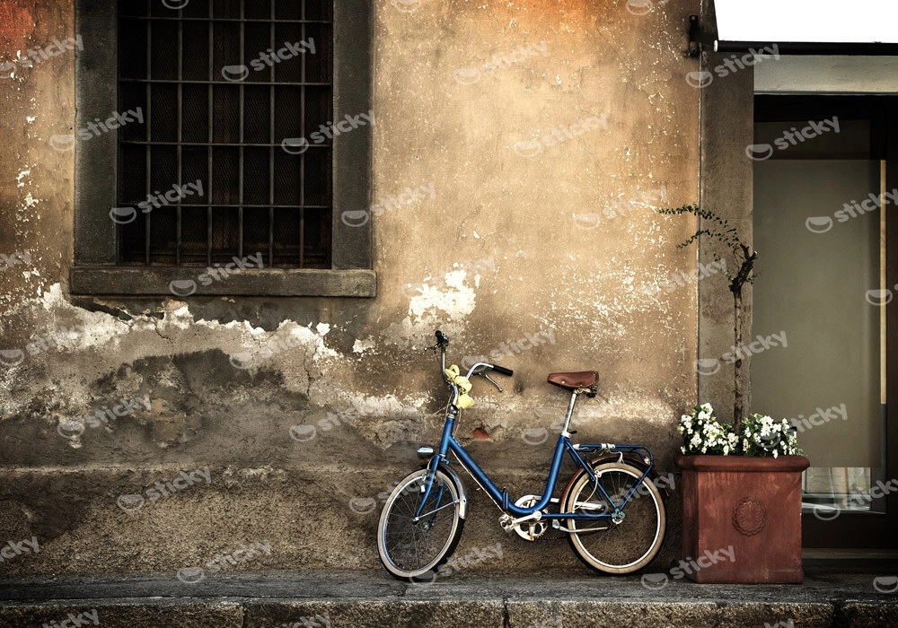 Πινακας σε καμβά OLD STYLE BICYCLE
