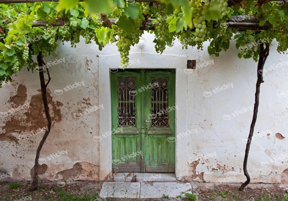 Πινακας σε καμβά GREEN DOOR