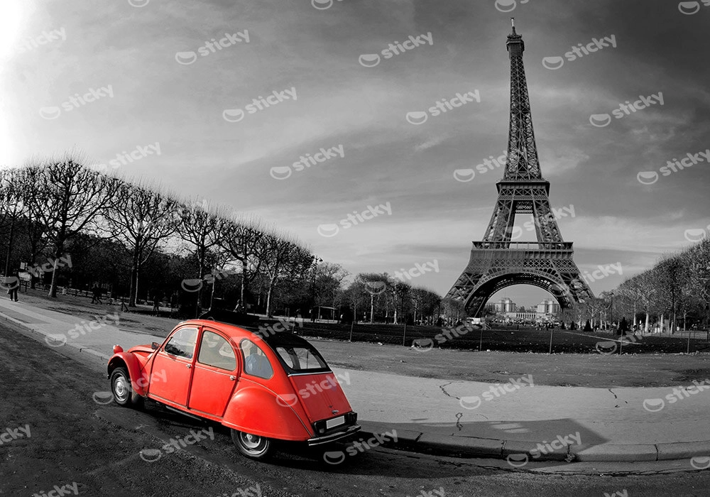 Πινακας σε καμβά 2CV