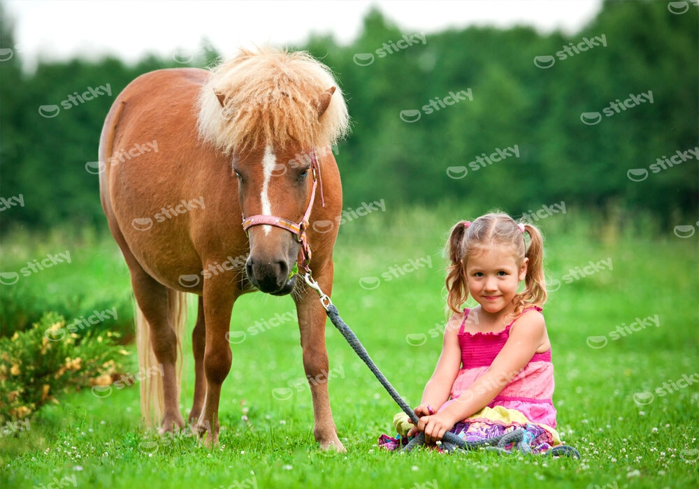 Πινακας σε καμβά GIRL PONY
