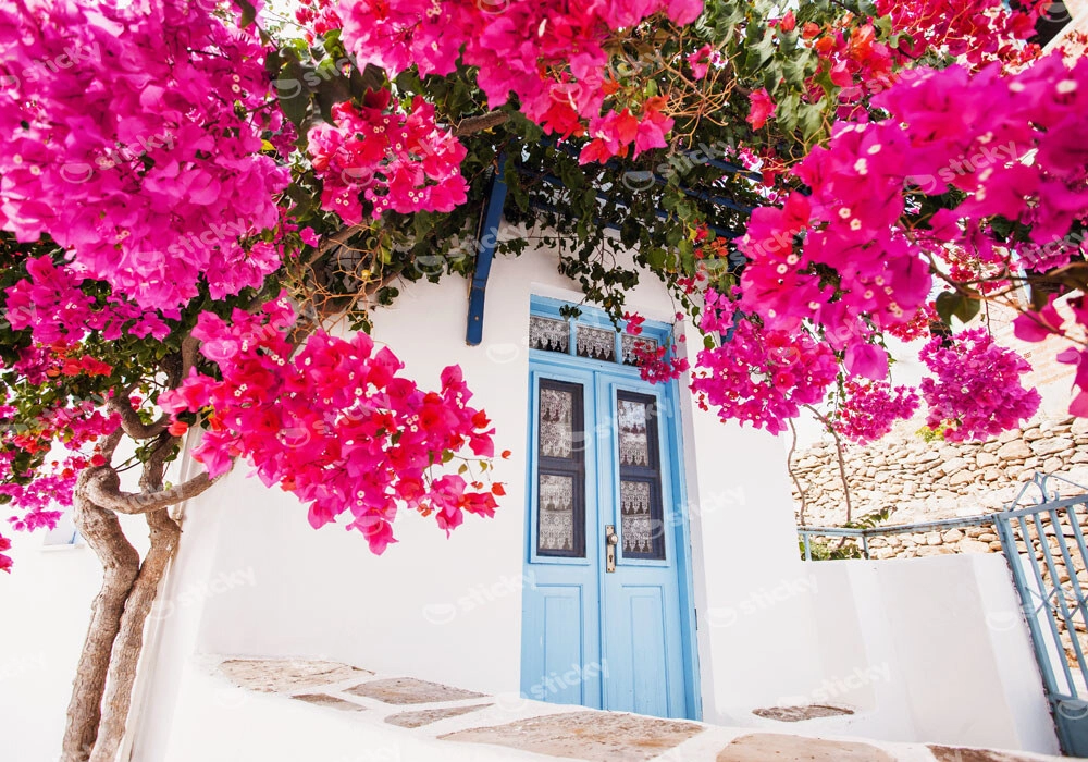 Πινακας σε καμβά HOUSE IN PAROS 2