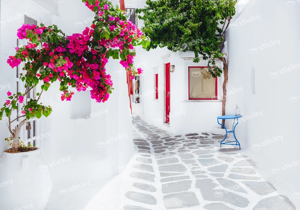 Πινακας σε καμβά MYKONOS