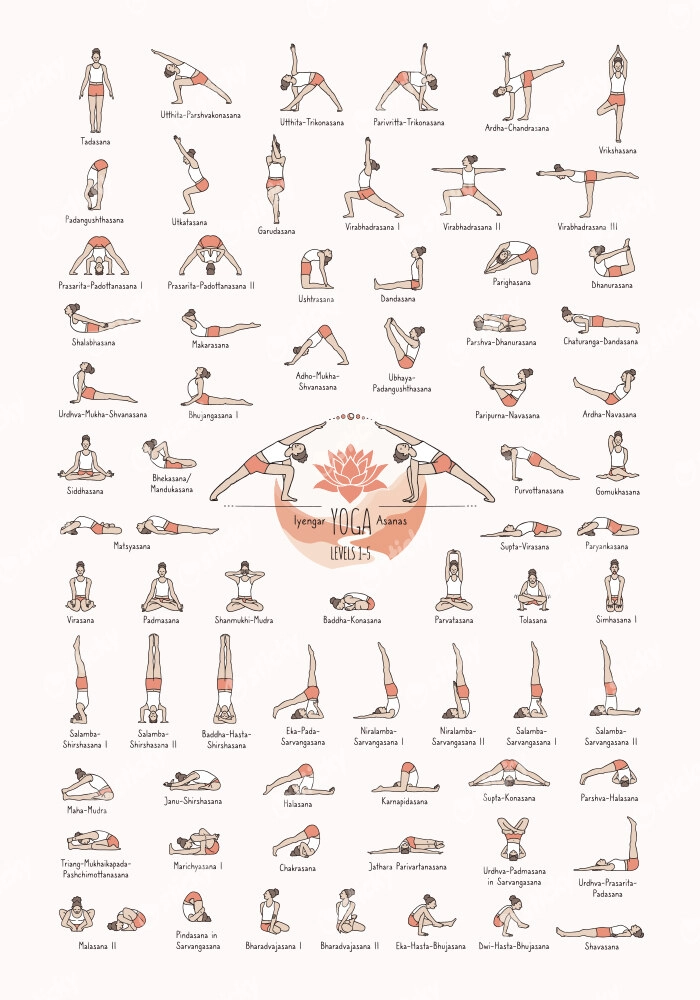 Πινακας σε καμβά YOGA POSES LEVEL 1