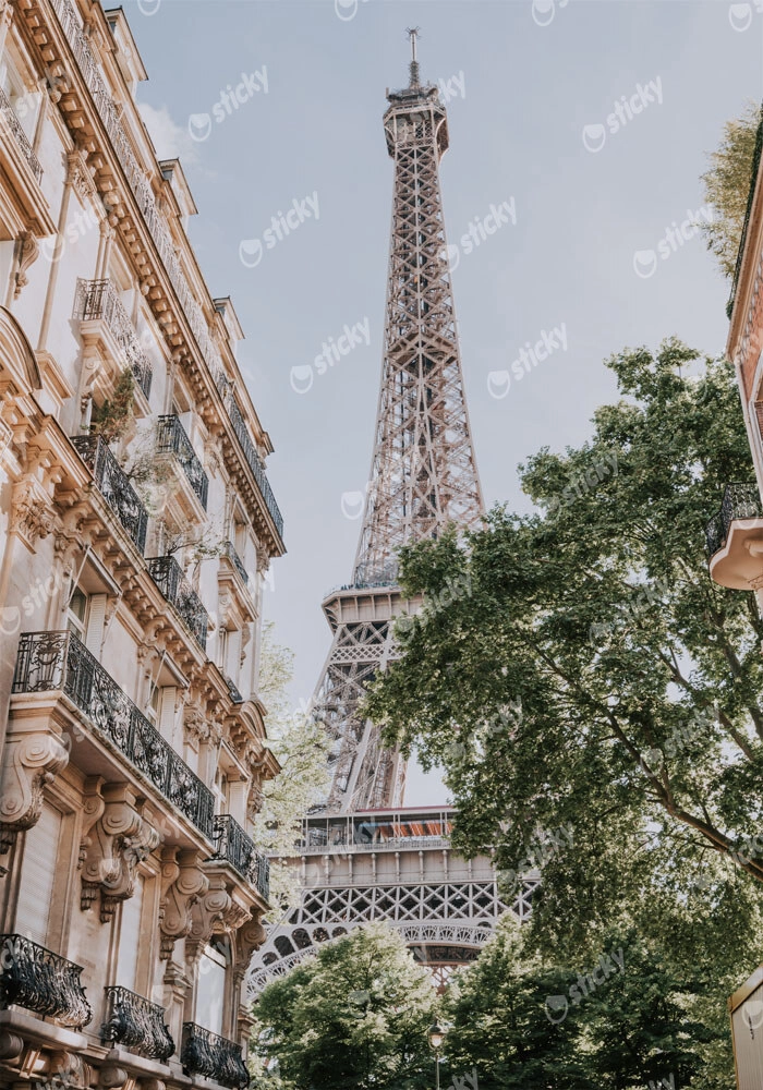 Πινακας σε καμβά PARIS EIFFEL TOWER